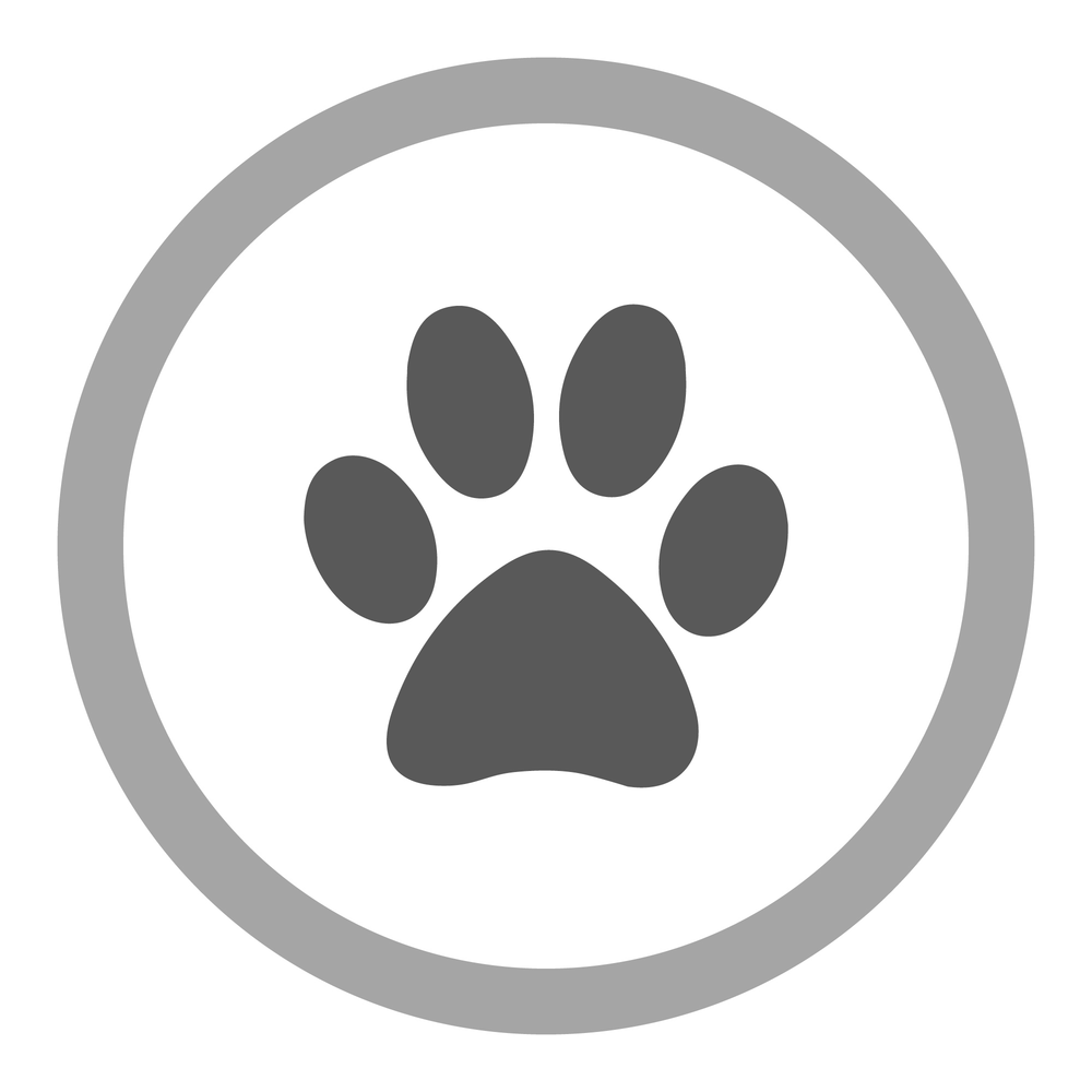Animals/Pets